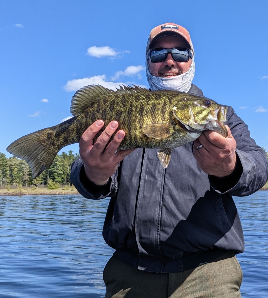 A smallmouth bass caught in central Maine by a client of a Maine fishing guide.