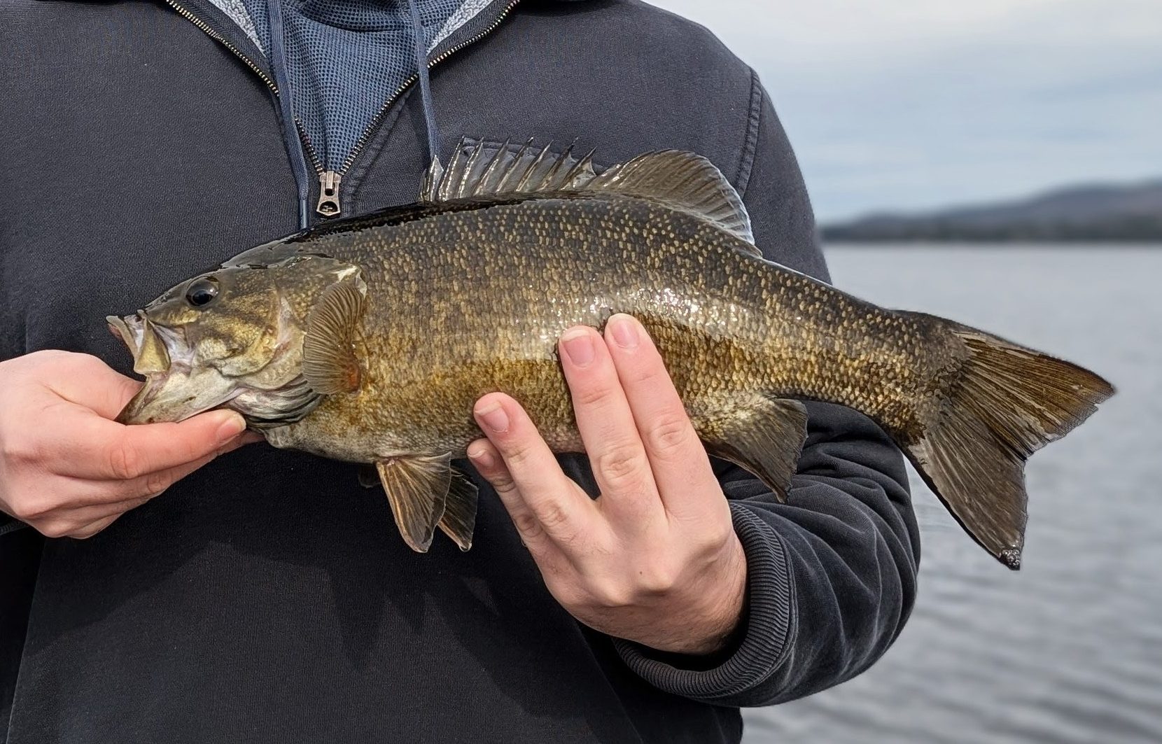Smallmouth bass held up for the camera on a cool spring day, with calm Maine lake waters in the background.